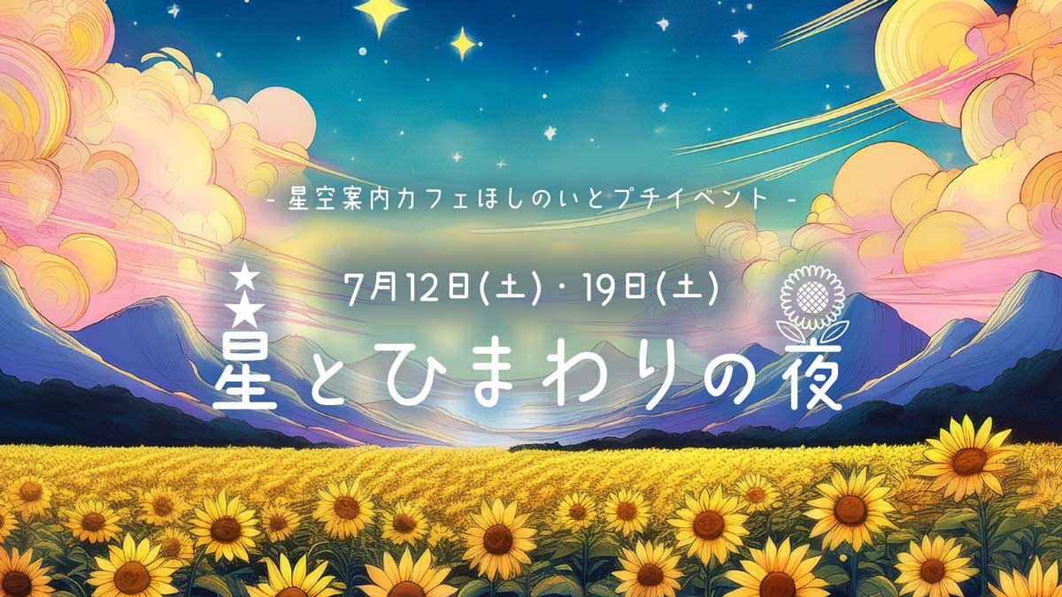 星とひまわりの夜